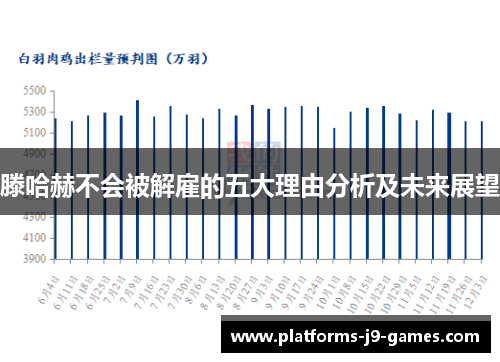 滕哈赫不会被解雇的五大理由分析及未来展望 滕哈赫不会被解雇的五大理由分析及未来展望