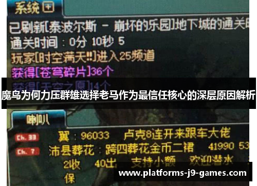 魔鸟为何力压群雄选择老马作为最信任核心的深层原因解析